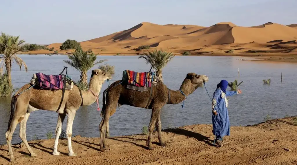 Desierto de Sahara