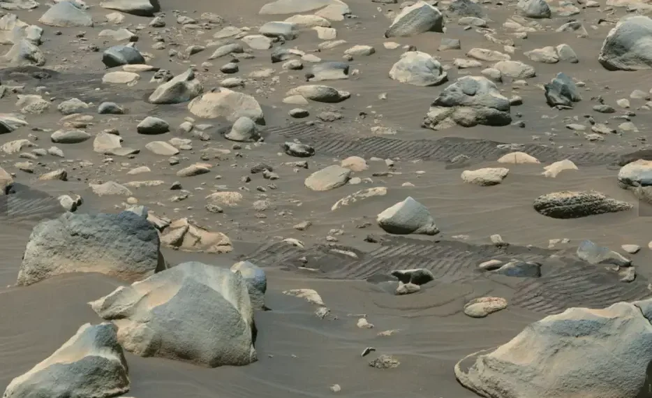 Esta imagen compuesta captada por el explorador Perseverance de la NASA muestra rocas en el depósito de abanico del cráter Jezero. Estas rocas fueron transportadas por agua que era más profunda o fluía más rápido que la antigua vía fluvial que depositó los guijarros más pequeños que también pueblan el área. (NASA/JPL-Caltech/ASU/MSSS)