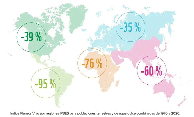 WWF IPV 2024