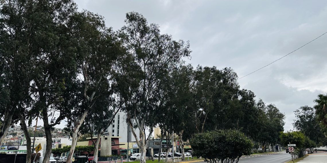 Cielos nublados y bajas temperaturas se esperan para los próximos dias.