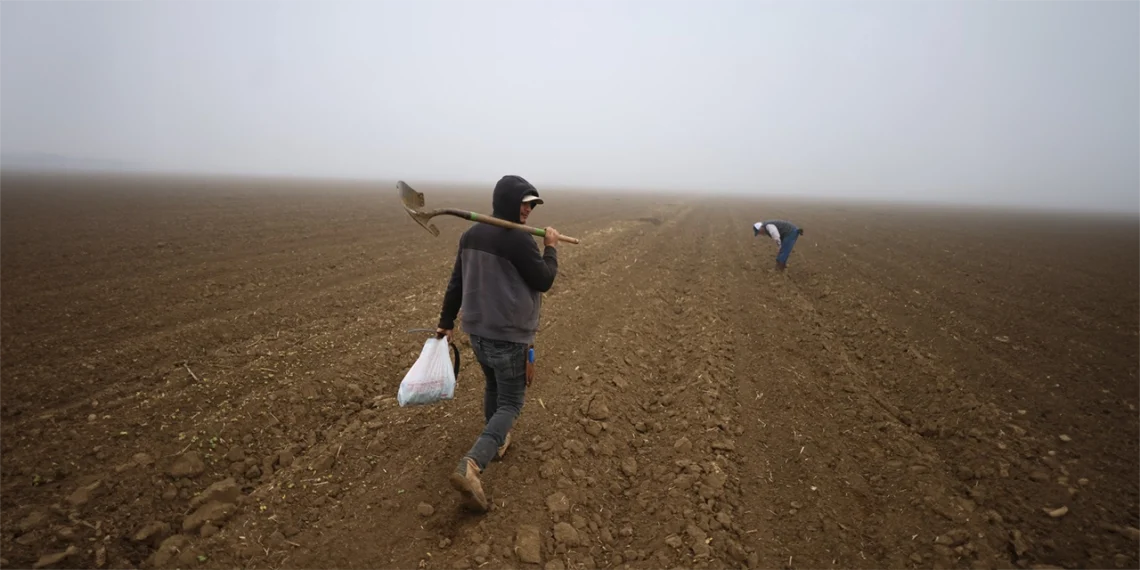 campesinos inmigrantes