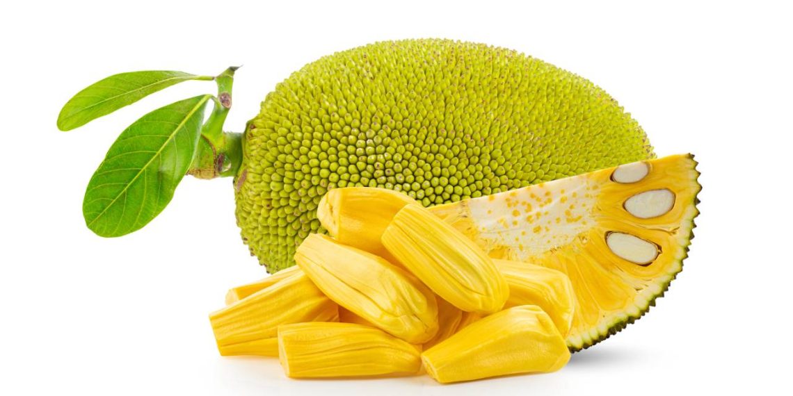 La yaca también es conocida como jackfruit