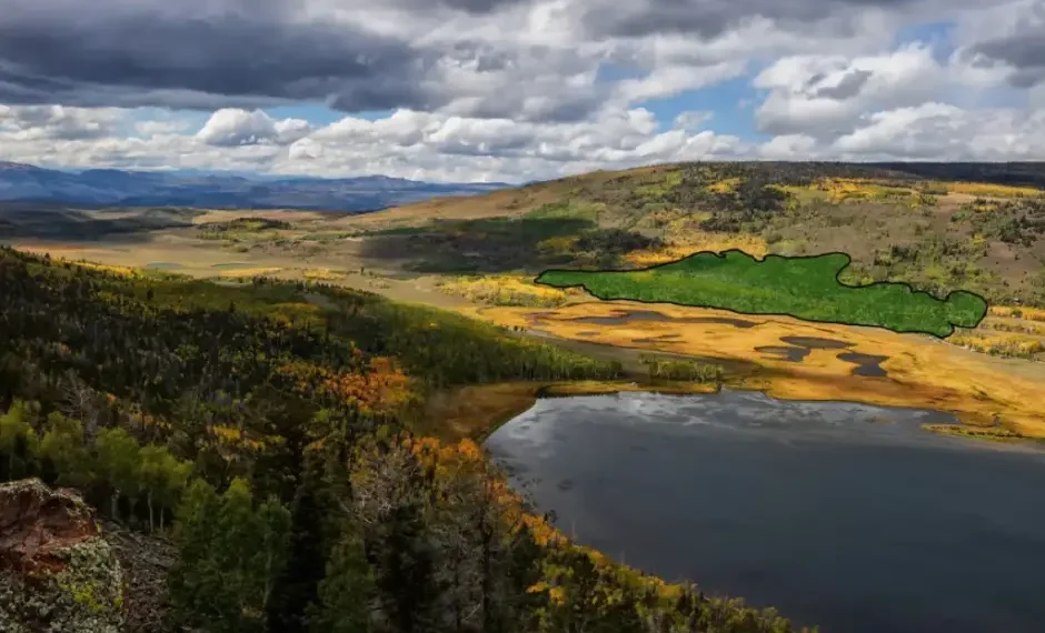 Pando organismo más antiguo del mundo