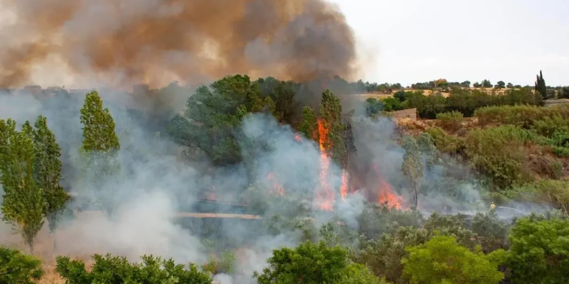 Municipio descarta intervención inmobiliaria en áreas afectadas por incendios