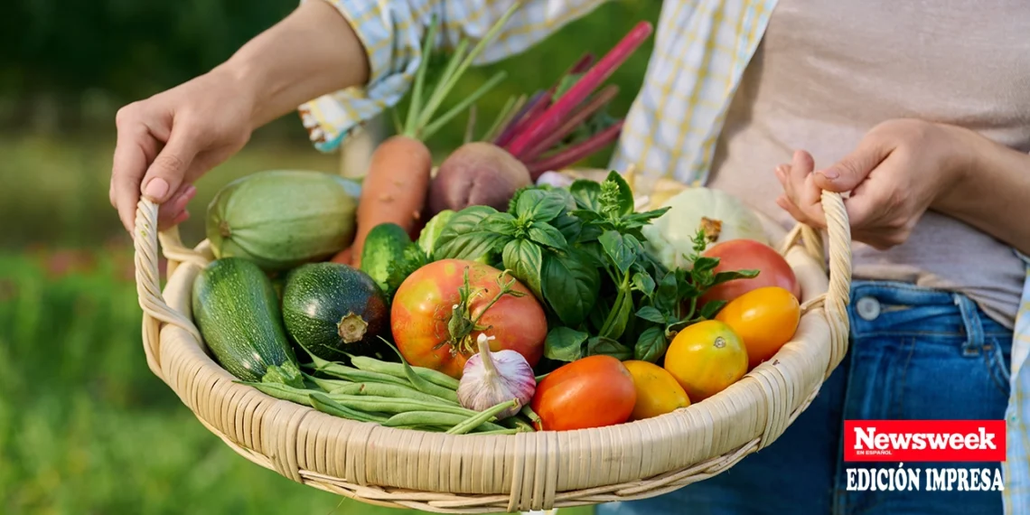 Los consumidores cada vez buscan más opciones menos procesadas y productos de origen vegetal que no imiten a la carne o los lácteos. (Adobe Stock)