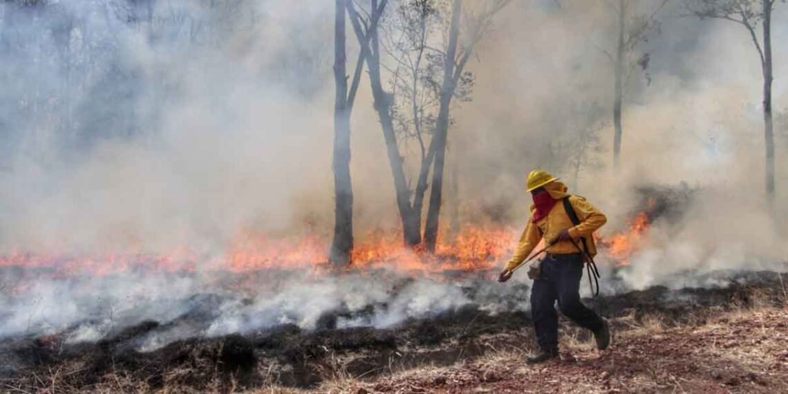 31 incendios forestales impactan 13 municipios de Puebla; Tlachichuca lidera con 15 incidentes