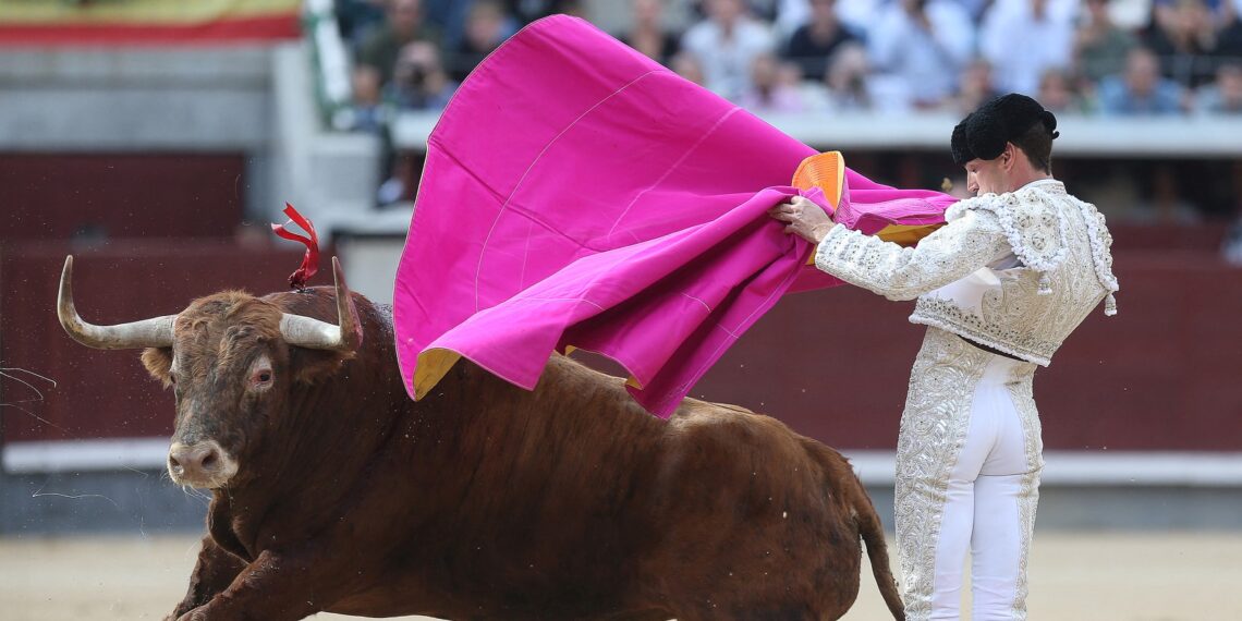 La tauromaquia ha levantado grandes controversias por grupos que buscan mantener este espectáculo. (Photo by Alberto SIMON / AFP)