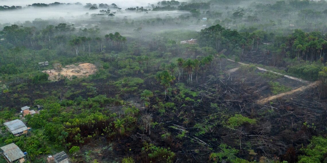 La selva amazónica es uno de los grandes reguladores del clima del mundo. (Photo by Pablo PORCIUNCULA / AFP)