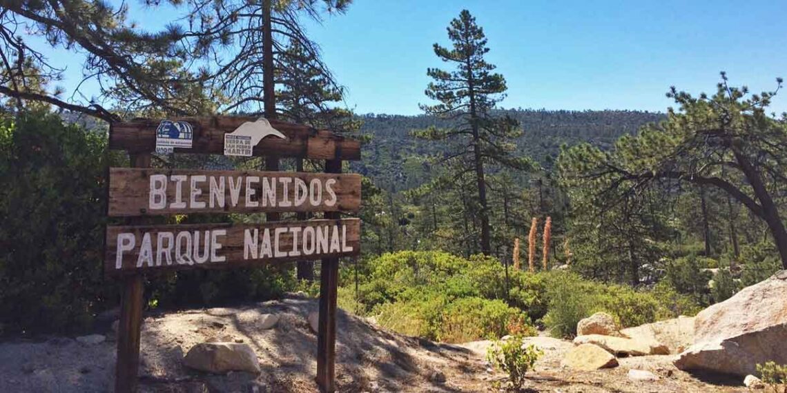 Sierra de San Pedro Mártir empodera turismo comunitario: Daniel Madariaga Barrilado