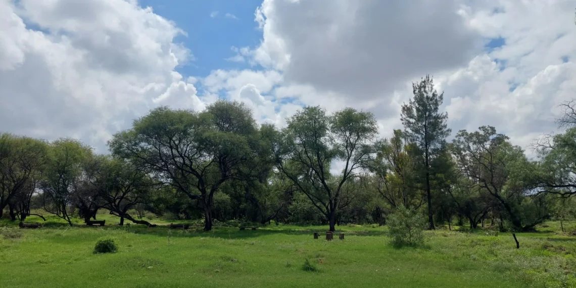 Foto: Salvemos La Pona