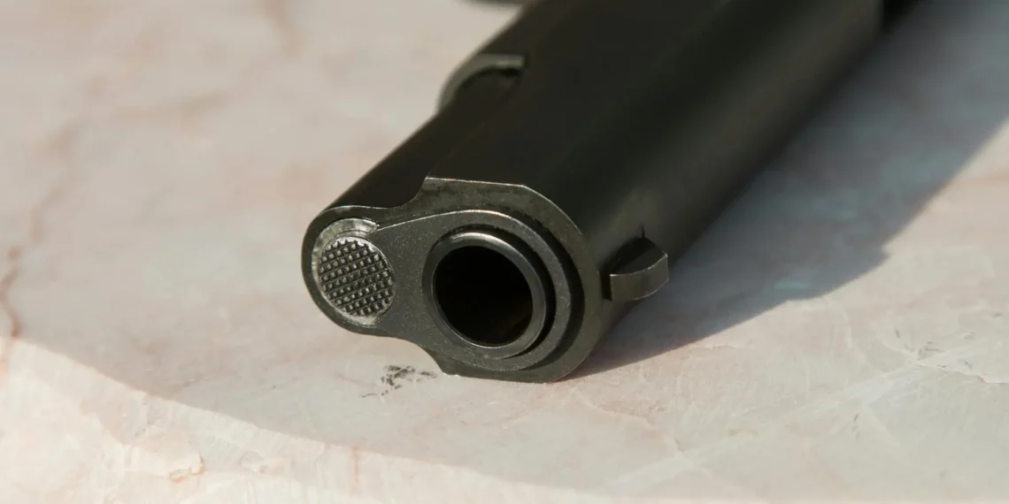 Va Fiscalía contra ingreso de armas al Palenque en la FNSM