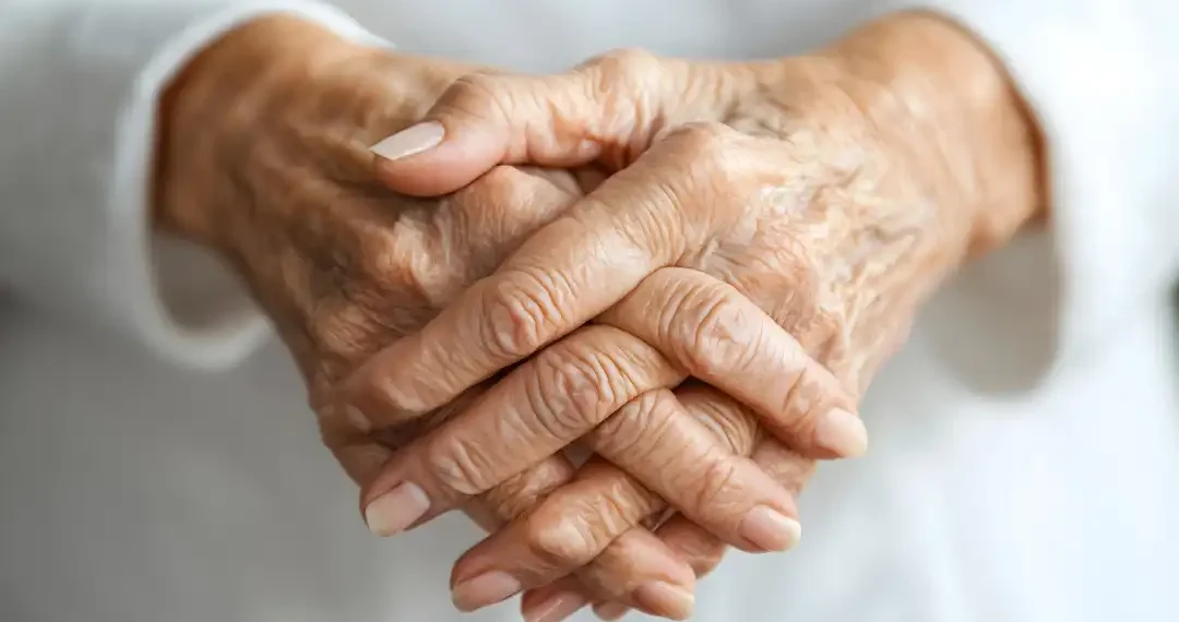 La longevidad y la calidad de vida son temas en los que la humanidad siempre ha tenido interés. (AdobeStock)