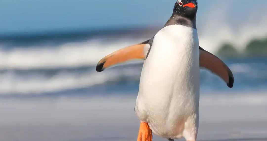La presencia de esta especie nativa del polo sur tiene una característica que ayuda a revertir el cambio climático. (AdobeStock)