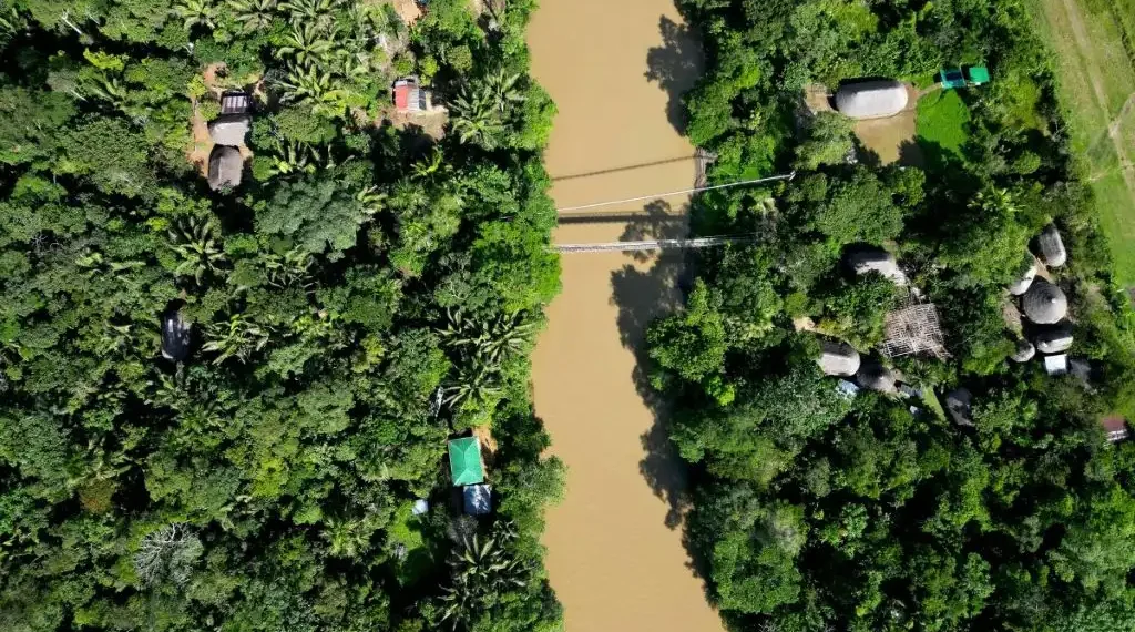 Amazonia