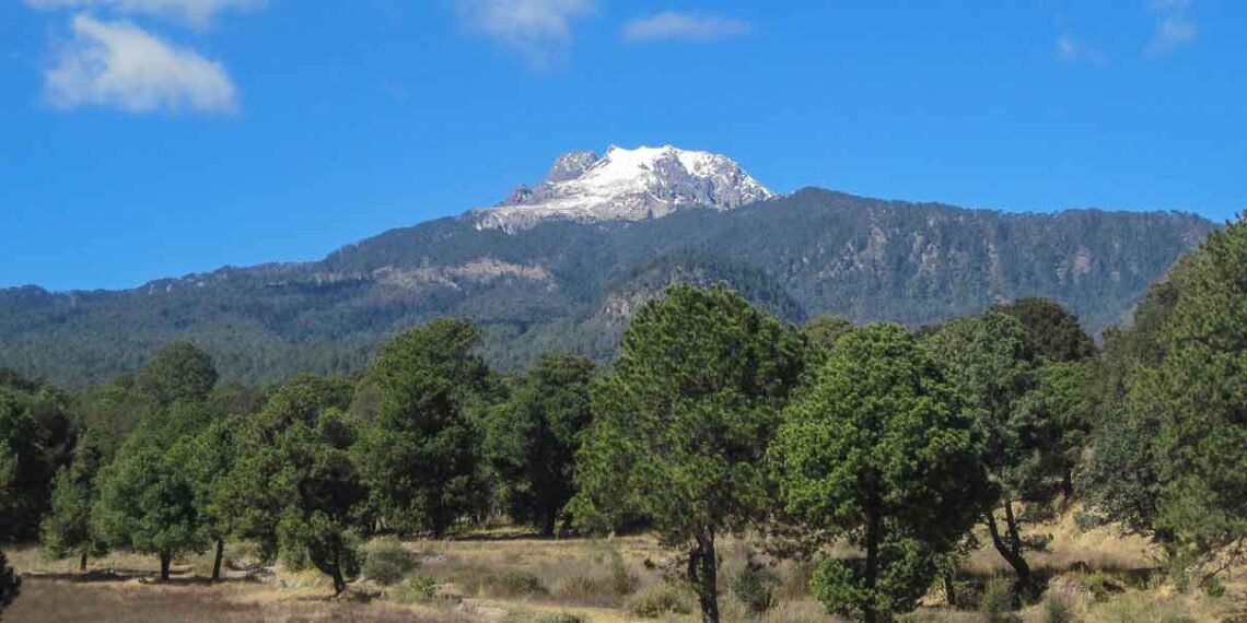 Construcción de ecoparques en Puebla se realizará bajo estrictos criterios legales