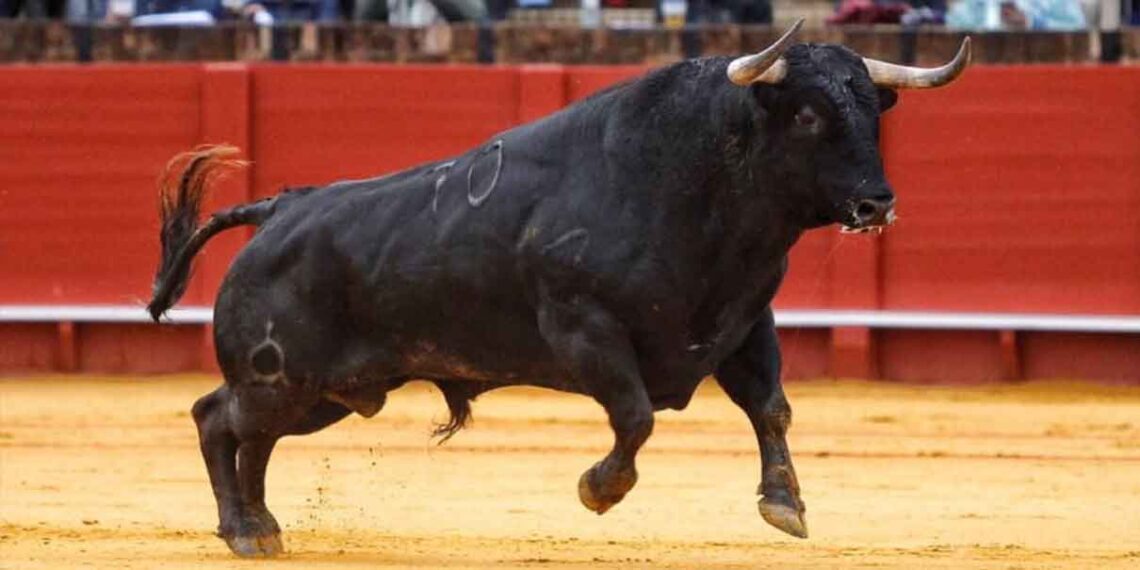 Corridas de toros y peleas de gallos dividen posturas en el Congreso poblano