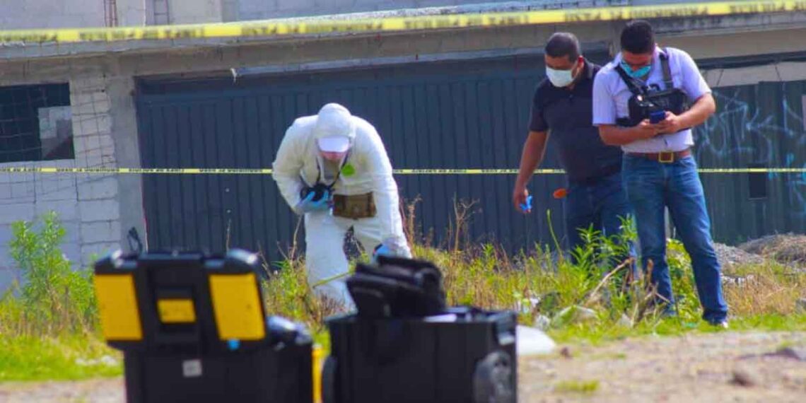 Fosa clandestina en Puebla: reportan hallazgo de restos en Palmar de Bravo