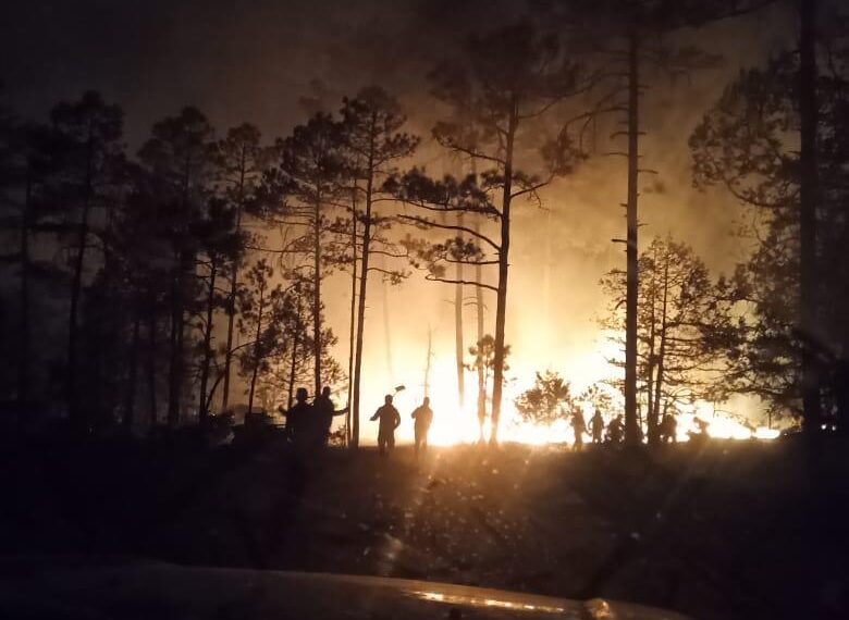 Incendio forestal Tepehuanes