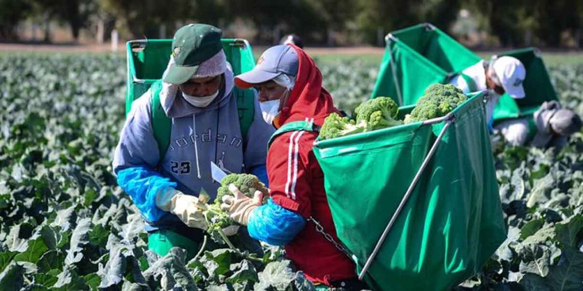 Puebla entrega recursos a agricultores afectados por fenómenos naturales