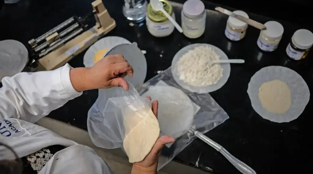 Tortilla nevera