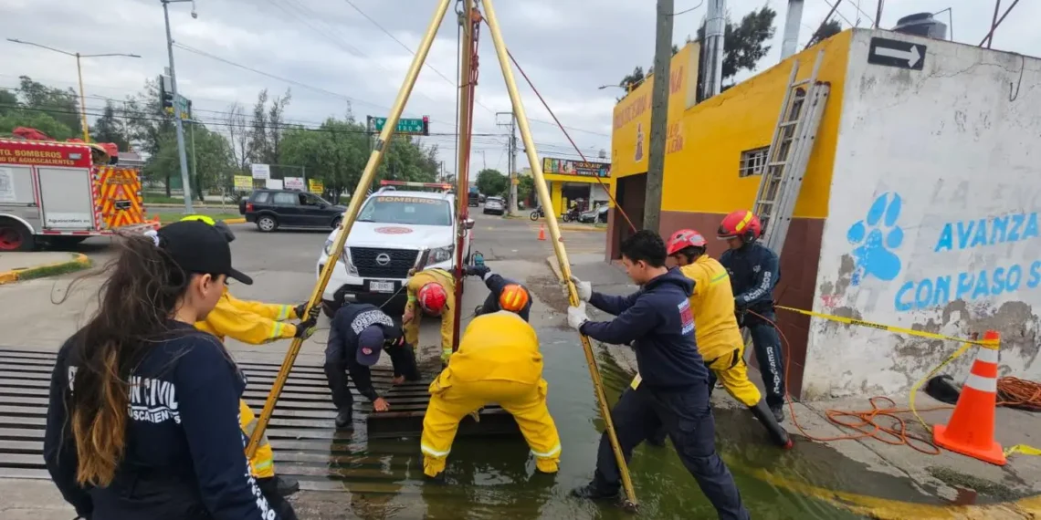 Basura, muebles y hasta refrigeradores han sacado de caimanes de Aguascalientes