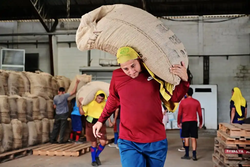 Cacao Ecuador