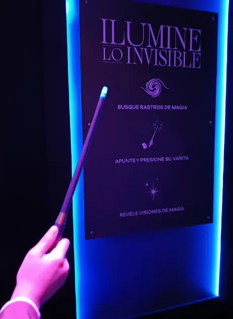 Harry Potter CDMX