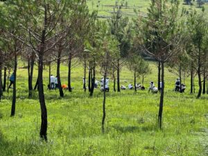 Impulsa Laboratorios Silanes acciones en favor de la niñez, la educación, medio ambiente y la salud