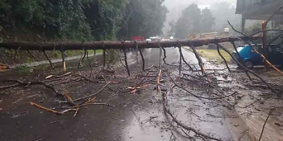 Instalan bodega de alimentos en la Sierra Norte por afectaciones de lluvias