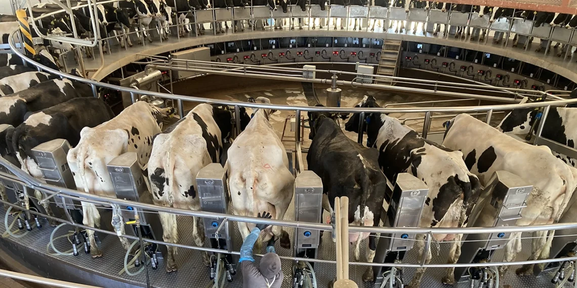 leche de vaca