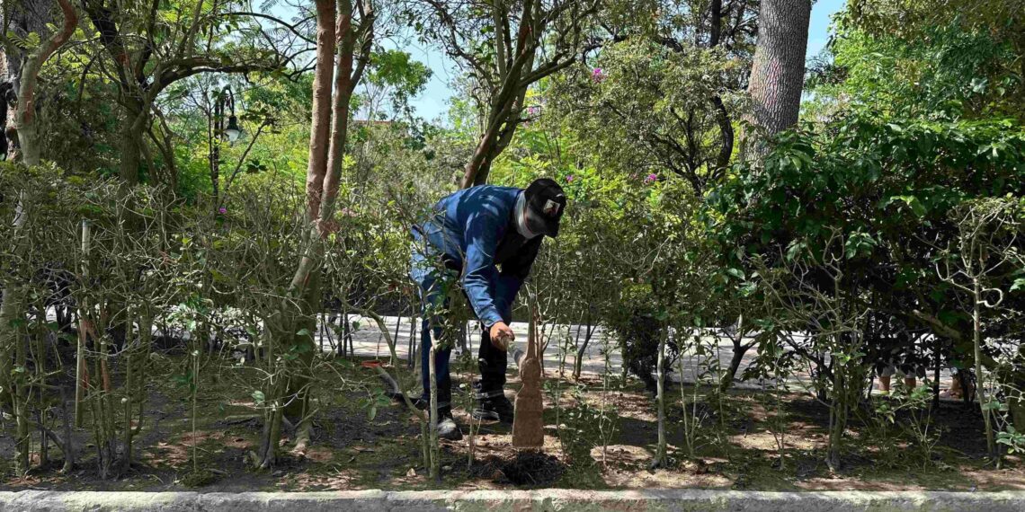 Personal de la Dirección de Parques y Jardines