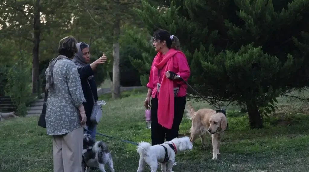 perros Irán