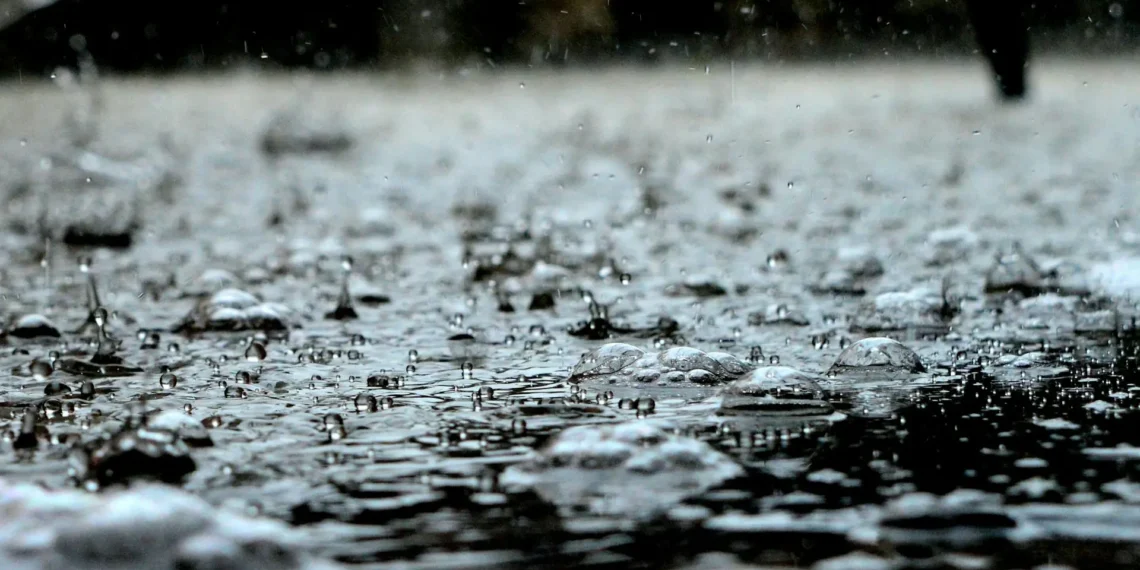 Así influyeron las precipitaciones de los últimos días en la entidad