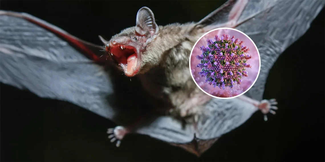virus murciélagos
