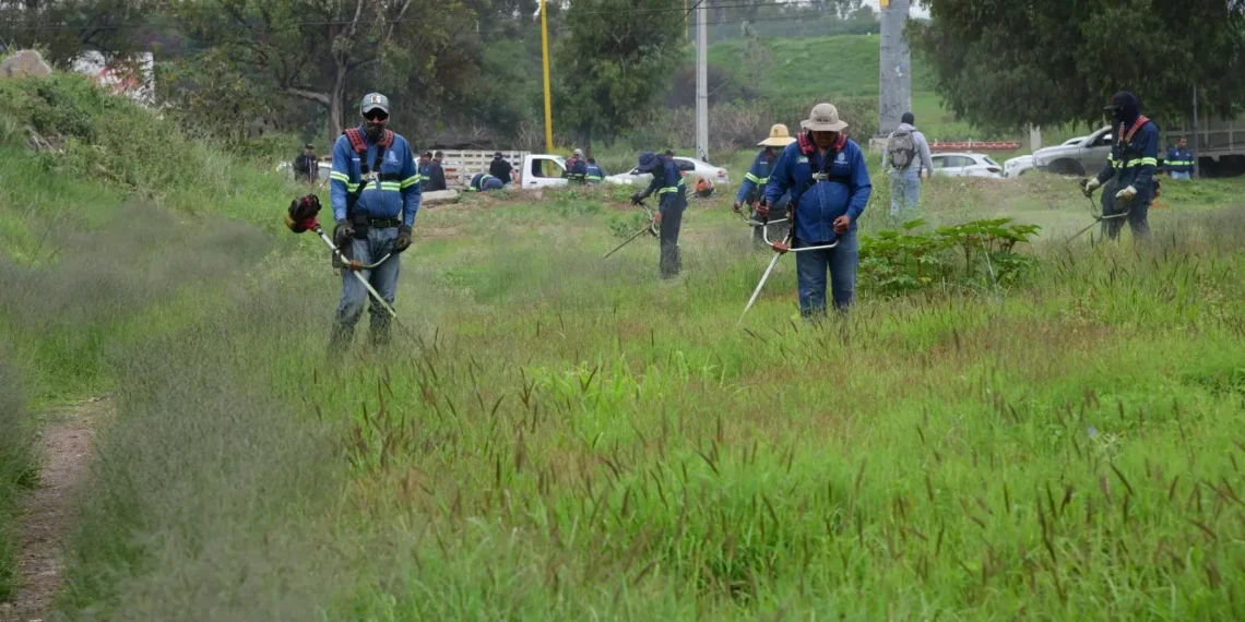 Intensifican limpieza en cercanías de arroyos y cuerpos de agua