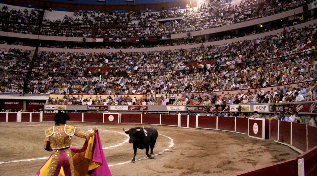 El torero francés, Sebastián Castella, espera a Paisano de 474 kilogramos de la ganadería Teófilo Gómez, la tarde-noche del domingo 27 de abril de 2008 en la Plaza de Toros Monumental de Aguascalientes.
Foto: Juan Manuel Robledo / s.i.glo21