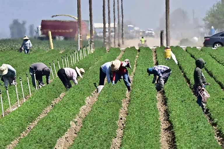 Estados Unidos inmigración