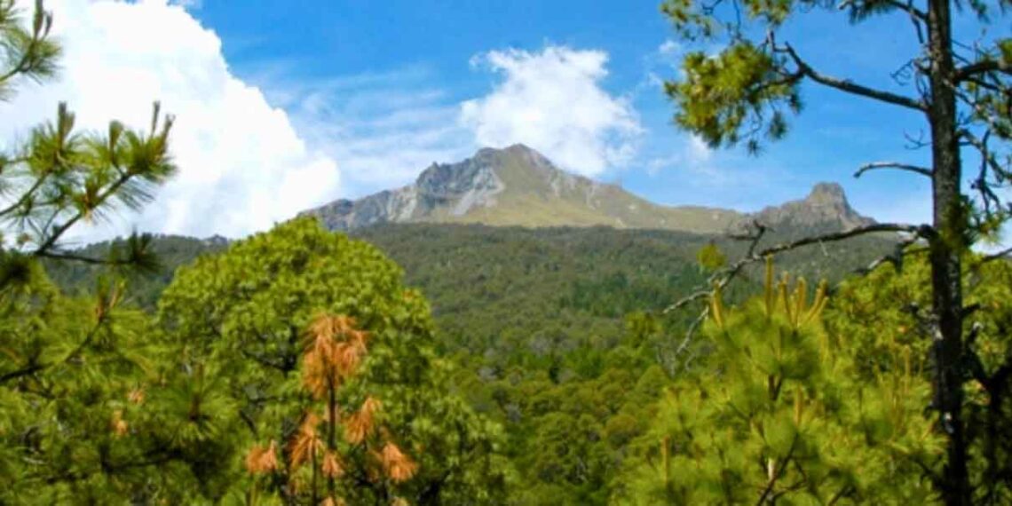 Falta aval de SEMARNAT para iniciar Ecoparque La Malinche