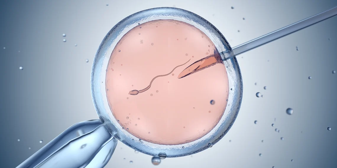 fecundación in vitro