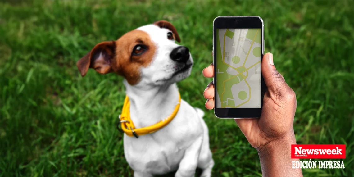 La tecnología representa una conexión constante y personalizada con nuestras mascotas, incluso cuando no estamos en casa. (Adobe Stock)