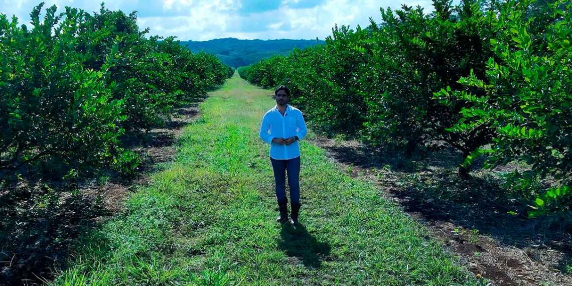 Citrus Patrimonial anuncia inversión total de 1,200 millones para el renacimiento del proyecto Maya de Yucatán