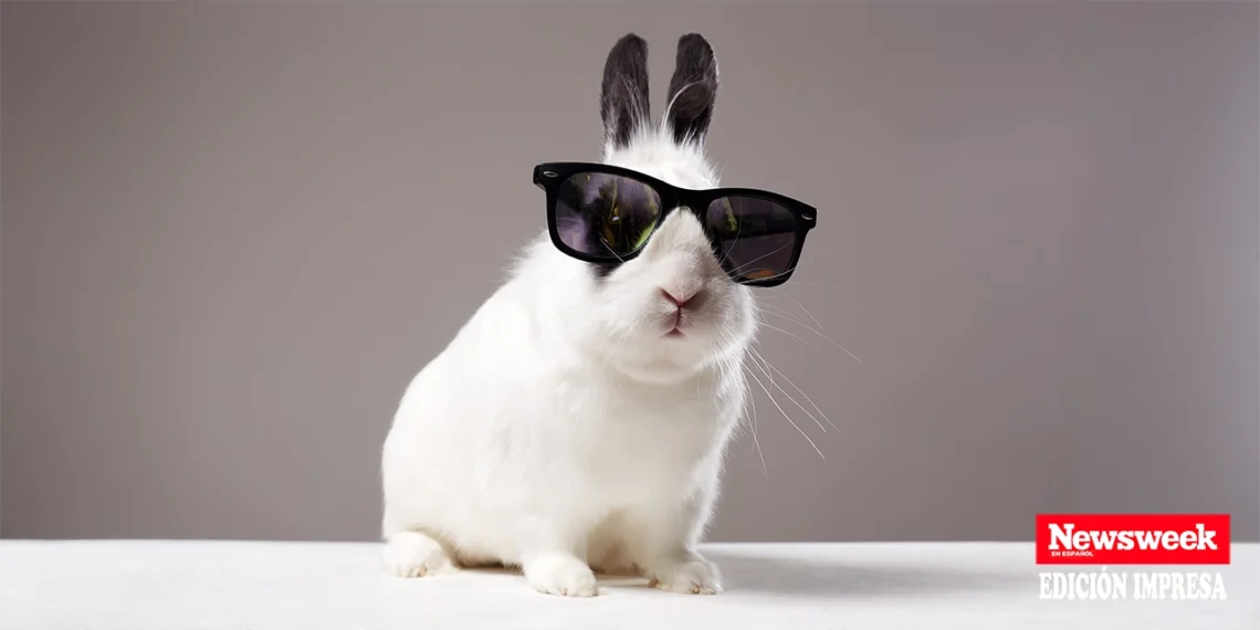 Algunos veterinarios advierten sobre posibles casos de explotación animal cuando se antepone el contenido viral al bienestar de la mascota. (Adobe Stock)