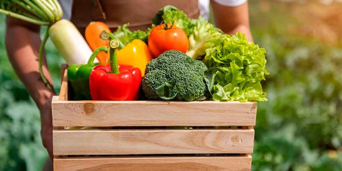 Hongos gran opción de alimentación sustentable: La Cosmopolitana